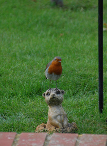 sychdyn photo 5188148 thumbnail