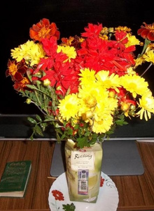 siryy_Yozhka My Photos photo 3819670