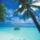 3000$ на Мальдивы