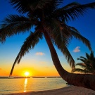 i want   in the place))))