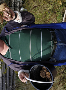 nickzinov 2018 photo 3553928