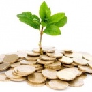 10000 tokens one coin