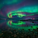 Поездка на остров Стюарт (Новая Зеландия)