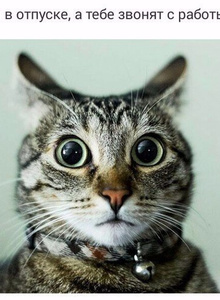 joalopinto My Photos photo 4432657