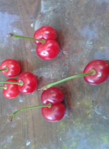 ooleg2244 My Photos photo 3720104