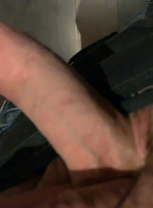 Absolute11 photo 4116183 thumbnail