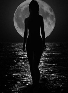 milk_rose My Photos photo 4065870