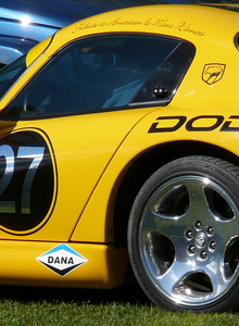 DADYoo photo 3997165 thumbnail