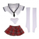 a sexy schoolgirl costume