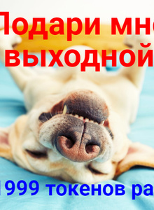 LickAndTrick photo 5485587 thumbnail