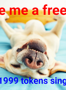 LickAndTrick photo 4632812 thumbnail