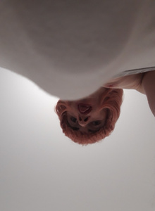 losssucks98 My Photos photo 4159049