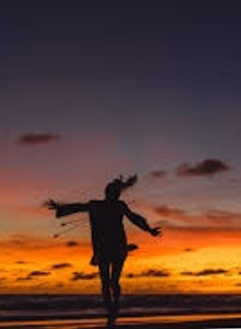 HollisFlowers My Photos photo 4218795