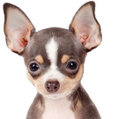 Gabby_Buu wish list item 8 thumbnail