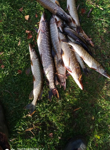 pulya001 My Photos photo 4369243