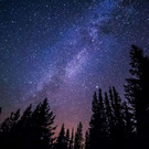 BabyBanny wish list item 1 thumbnail