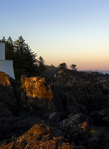 roxana-george mis fotos photo 4609345