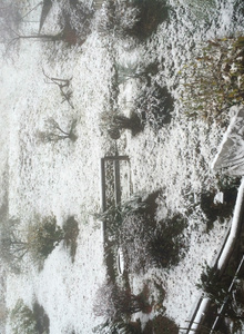 Deucalion92x 1 photo 4296724