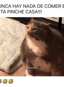 FranOrionGMR My Photos photo 4424178