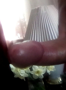 Fakgol My Photos photo 4692955