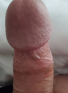 shockg 11/27/2019 photo 4448233