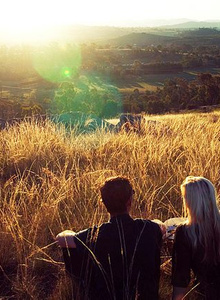 nipitiri photo 4491256 thumbnail