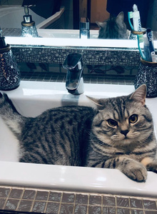 AshliJey My Photos photo 4581510