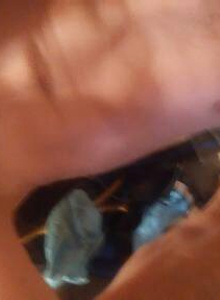 10inchpervert photo 5410641 thumbnail