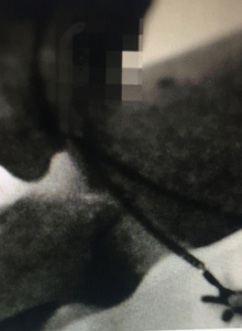 DISFRUTONES My Photos photo 4657492