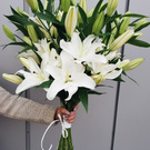 Foxxie-Cute wish list item 1 thumbnail