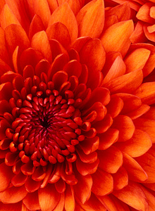 Angelanddemon My Photos photo 4688694