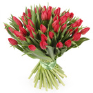 Queenfox888 wish list item 3 thumbnail