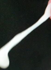 Jerno photo 5031787 thumbnail