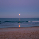 Tattoo, sparkles, hair dye.