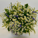 Букет ромашек