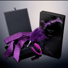 Groupon Lelo Noa Vibrator