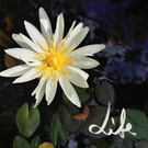 Travel around the world