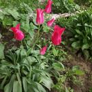 Дружиться с интересными людьми