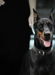 Fotografija #5159037