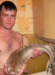 Olehza Abastora photo 4969498