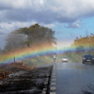 Доплыть до радуги