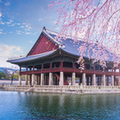 Отдых в Южной Корее