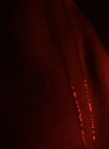 MadandPod photo 5031338 thumbnail