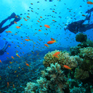 Подводное плаванье)