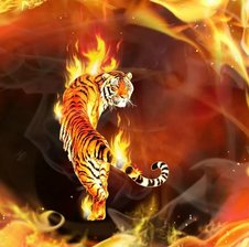 Fire-Tiger