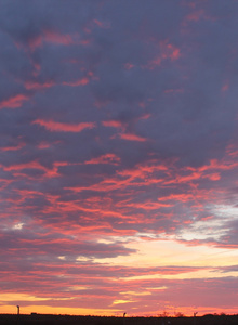 Mariy-Kiss wow photo 4994664