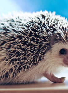 karlconchick My Photos photo 5013568