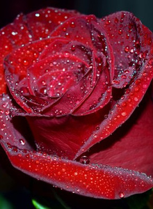 goodfeeling33 goodfeeling33 photo 5984460