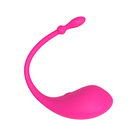 Lovense Lush Bluetooth vibrator