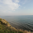 Комплимент